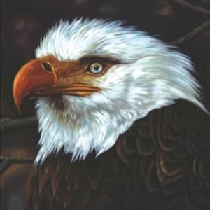 Mogwai - The Hawk Is Howling (LP)