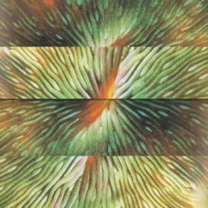 Active Surplus - Mirroring (LP)