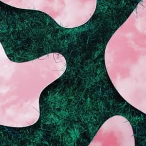 Lee Paradise - & Co (LP)