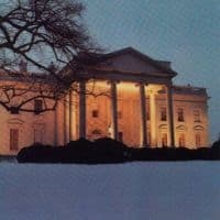 Dead C. - The White House (LP)