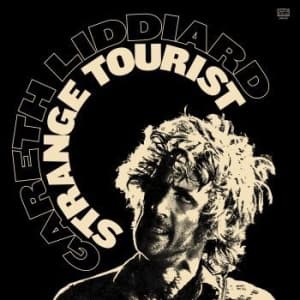 Liddiard Gareth - Strange Tourist (LP)