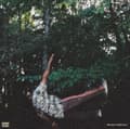 Pikkukuva 2 / 2: Watson Chester - Fish Don't Climb Trees (Indie Exclu (LP)