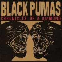 Black Pumas - Chronicles Of A Diamond (Clear Vinyl) (LP)