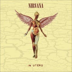 Nirvana - In Utero (Box Vinyl Super Deluxe) (LP)