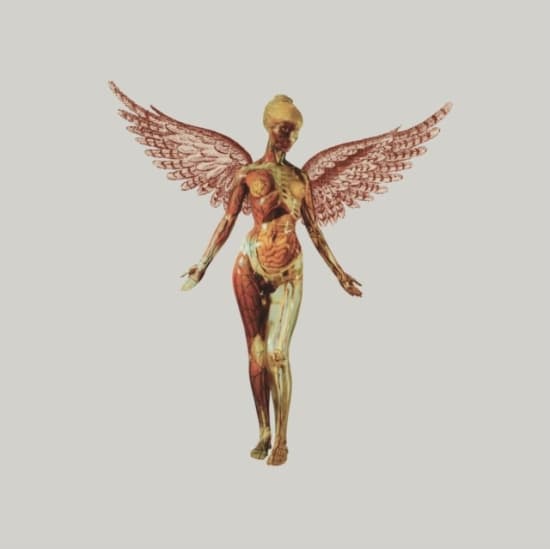 Nirvana - In Utero (Box Vinyl Super Deluxe) (LP)