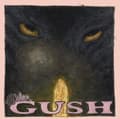 Pikkukuva 2 / 2: 9Million - Gush (LP)