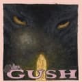 Pikkukuva 1 / 2: 9Million - Gush (LP)
