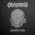 Miniatyrbild 1 av 2: Ossuary - Cremation Ritual (Silver Vinyl Lp) (LP)