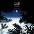 Pikkukuva 1 / 2: Coil - Musick To Play In The Dark (2 Lp Ho (LP)