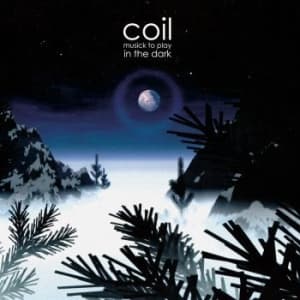 Coil - Musick To Play In The Dark (2 Lp Ho (LP)