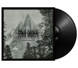 Efraah Enhsikaah - One Thousand Vultures Waiting To Be (LP)