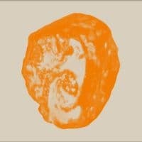 Burch Bex - There Is Only Love And Fear (LP)