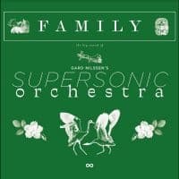 Gard Nilssen's Supersonic Orchestra - Family (LP)