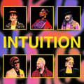 Miniatyrbilde 1 av 2: Brooklyn Funk Essentials - Intuition (LP)