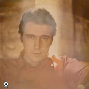 Jerry Jeff Walker - Five Years Gone (LP)