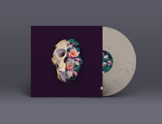Verneri Pohjola - Monkey Mind (LP)