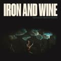 Miniatyrbilde 1 av 2: Iron & Wine - Who Can See Forever (Loser Edition (LP)