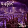 Miniatyrbild 1 av 2: Voidceremony - Threads Of Unknowing (Vinyl Lp) (LP)