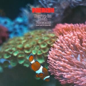 ?Pærish - You're In Both Dreams (And You're S (LP)