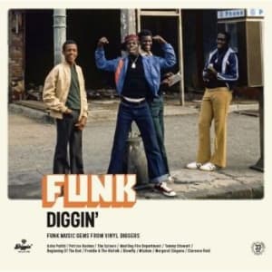 Blandade Artister - Funk Diggin' (LP)