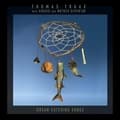 Miniatyrbillede 1 af 2: Truax Thomas With Budgie And Mothe - Dream Catching Songs (LP)