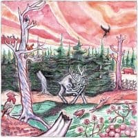 Jaakko Laitinen & Lapin Lisä - Jaakko Laitinen & Lapin Lisä (LP)
