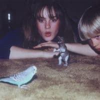 Big Thief - Masterpiece (Limited Eco Coloured 2LP) (LP)
