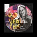 Miniatyrbild 2 av 2: Sheryl Crow - Story Of Everything (LP)
