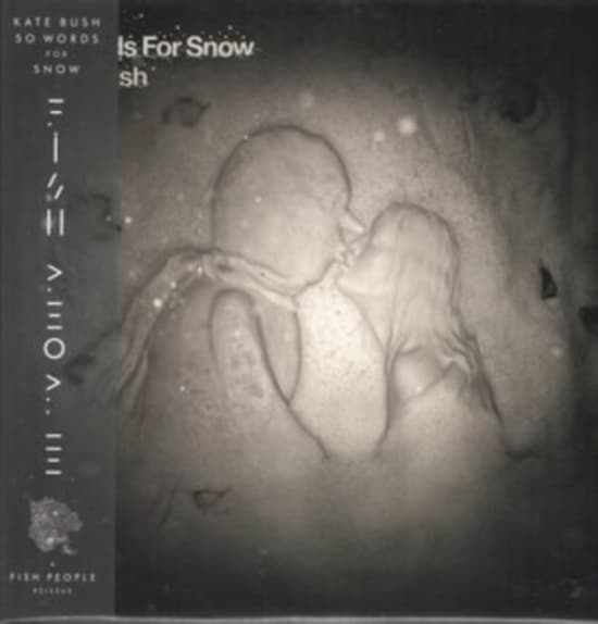 Kate Bush - 50 Words For Snow (Snowy Vinyl) (LP)