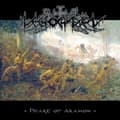 Miniatyrbild 1 av 2: Nechochwen - Heart Of Akamon (Marble Vinyl) (LP)