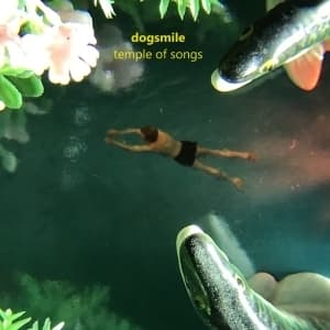 Dogsmile - Temple Of Songs (LP)