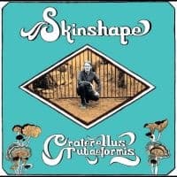 Skinshape - Craterellus Tubaeformis (LP)