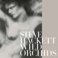 Miniatyrbillede 1 af 2: Hackett Steve - Wild Orchids (Vinyl Re-Issue 2023) (LP)