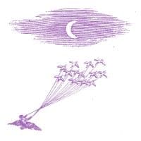 Feeling Figures - Migration Magic (LP)