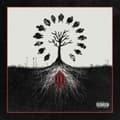 Pikkukuva 1 / 2: Xxxtentacion - Xxxtentacion Presents: Members Only (LP)