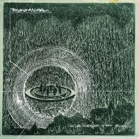 Techno Animal - The Brotherhood Of The Bomb (Reissu (LP)
