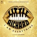 Miniatyrbild 2 av 2: Little Richard - Little Richard: I Am Everything (Vi (LP)