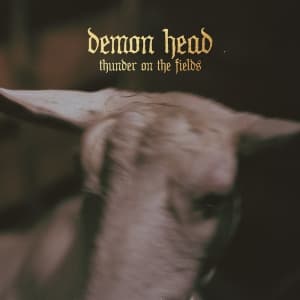Demon Head - Thunder On The Fields Lp Silver (LP)