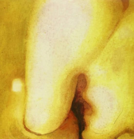 Smashing Pumpkins - Pisces Iscariot (LP)