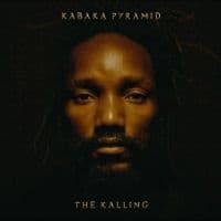 Kabaka Pyramid - The Kalling (LP)