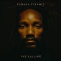 Pikkukuva 1 / 2: Kabaka Pyramid - The Kalling (LP)