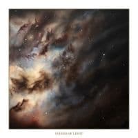 Chapel Of Disease - Echoes Of Light (Marbled Vinyl Lp) (LP)