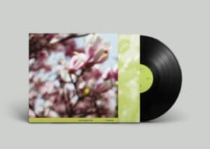 Clerkin Tara Trio - In Spring (LP)