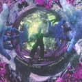 Miniatyrbillede 2 af 2: Footballhead - Overthinking Everything (Purple Vin (LP)