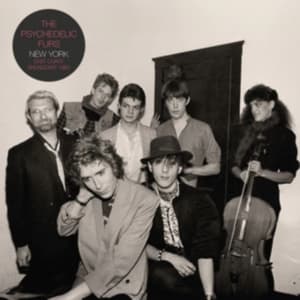 Psychedelic Furs The - New York (2 Lp Vinyl) (LP)