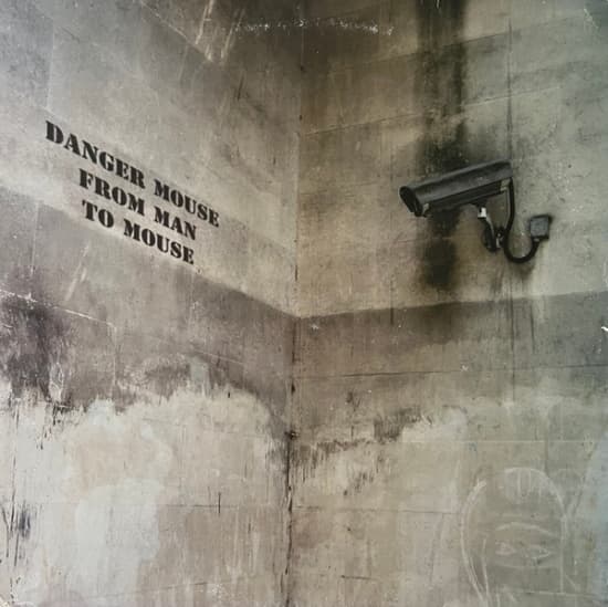 Danger Mouse - From Man To Mouse (Bansky Sleeve) (LP)