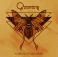Miniatyrbillede 2 af 2: Quantum - Down The Mountainside (Marbled Viny (LP)