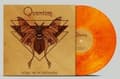 Miniatyrbillede 1 af 2: Quantum - Down The Mountainside (Marbled Viny (LP)