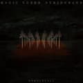 Miniatyrbillede 1 af 2: Magic Tuber Stringband - Needlefall (LP)