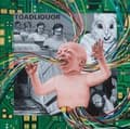 Miniatyrbild 1 av 2: Toadliquor - Back In The Hole (Vinyl Lp) (LP)
